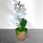 Cserepes gumi orchidea 27 cm fehér