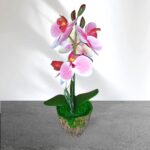 Cserepes gumi orchidea 27 cm rózsaszín 1.