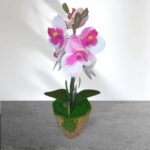 Cserepes gumi orchidea 27 cm rózsaszín 2.