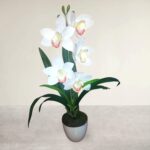 Cserepes gumi orchidea 42 cm fehér