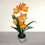 Cserepes gumi orchidea 42 cm narancs