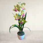 Cserepes gumi orchidea 42 cm olívazöld