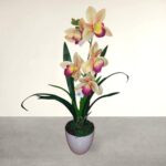 Cserepes gumi orchidea 42 cm világos barack