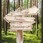 Egyedi visszapillantó tükör dísz 2.