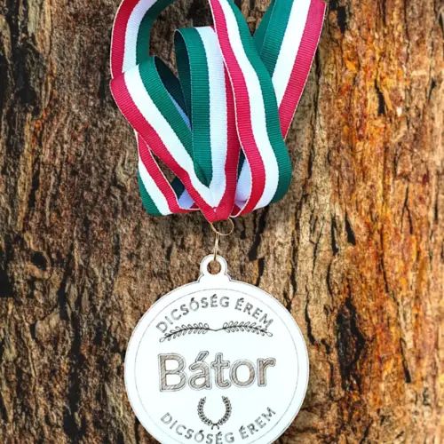 Motivációs érem "bátor" 9 cm