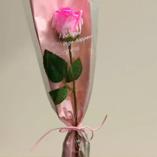 Szappanrózsa 12 cm x 37 cm rózsaszín