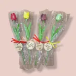 Pedagógus napi gumitulipán, 10 szín, celofánban