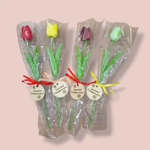 Pedagógus napi gumitulipán, 10 szín, celofánban